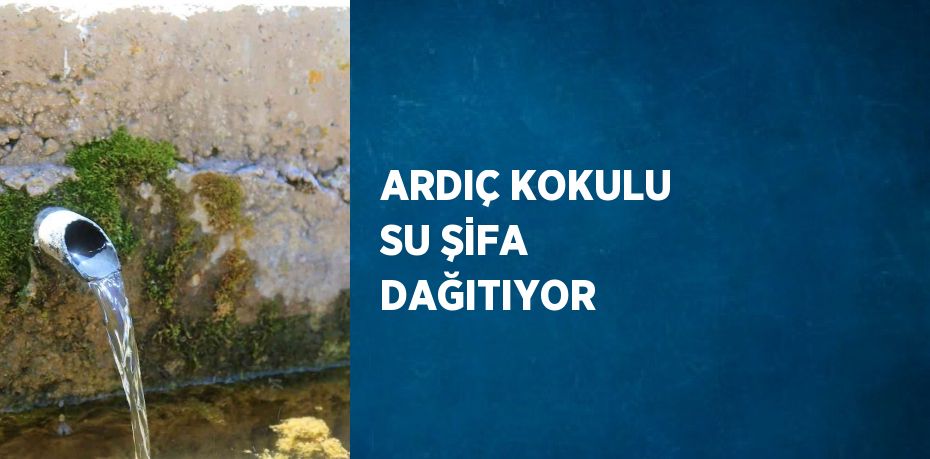 ARDIÇ KOKULU SU ŞİFA DAĞITIYOR