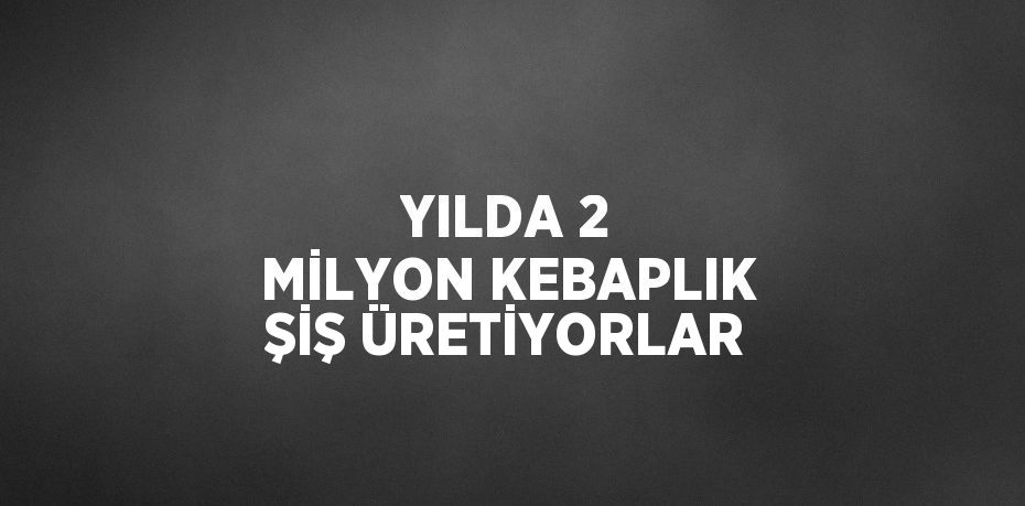 YILDA 2 MİLYON KEBAPLIK ŞİŞ ÜRETİYORLAR