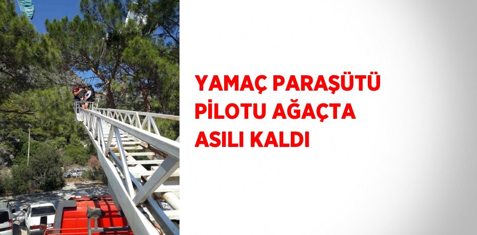 YAMAÇ PARAŞÜTÜ PİLOTU AĞAÇTA ASILI KALDI