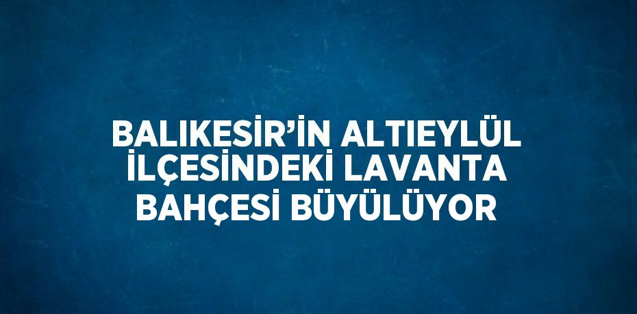 BALIKESİR’İN ALTIEYLÜL İLÇESİNDEKİ LAVANTA BAHÇESİ BÜYÜLÜYOR