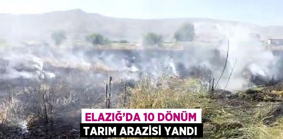 ELAZIĞ’DA 10 DÖNÜM TARIM ARAZİSİ YANDI