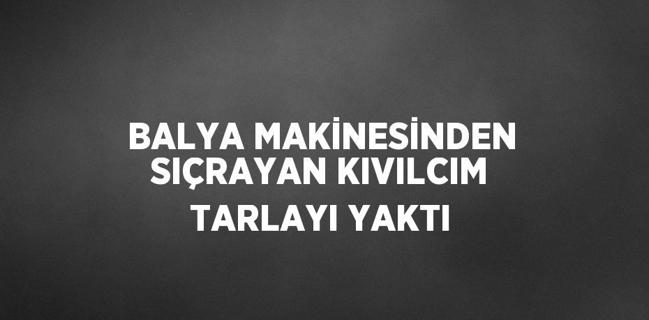 BALYA MAKİNESİNDEN SIÇRAYAN KIVILCIM TARLAYI YAKTI