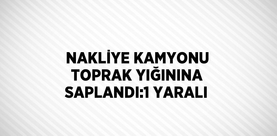 NAKLİYE KAMYONU TOPRAK YIĞININA SAPLANDI:1 YARALI