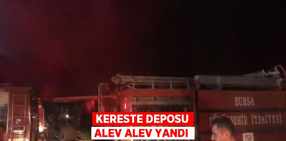 KERESTE DEPOSU ALEV ALEV YANDI