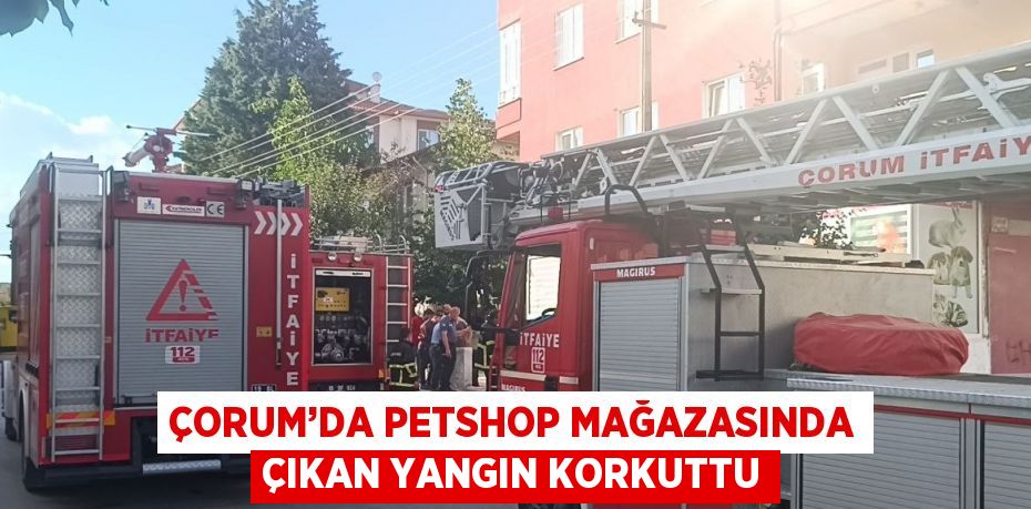 ÇORUM’DA PETSHOP MAĞAZASINDA ÇIKAN YANGIN KORKUTTU