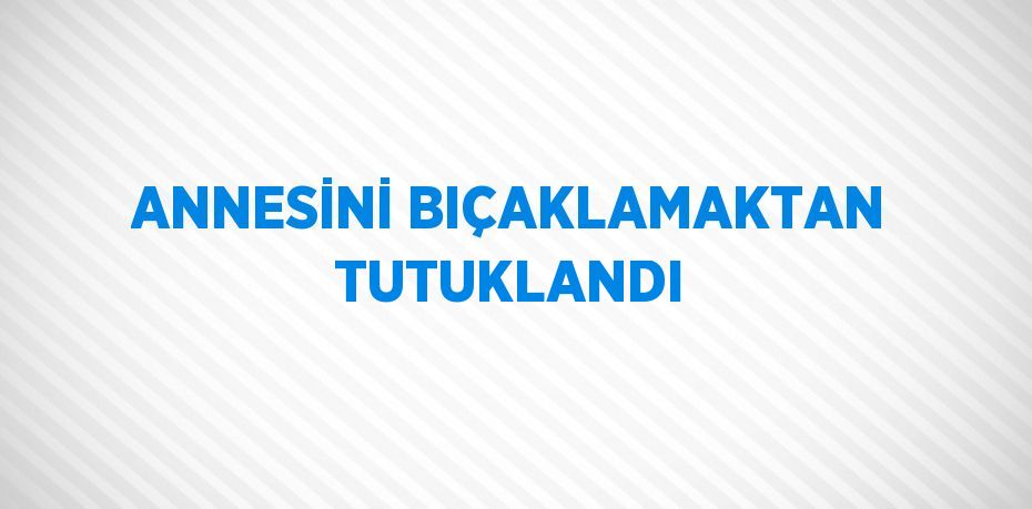 ANNESİNİ BIÇAKLAMAKTAN TUTUKLANDI