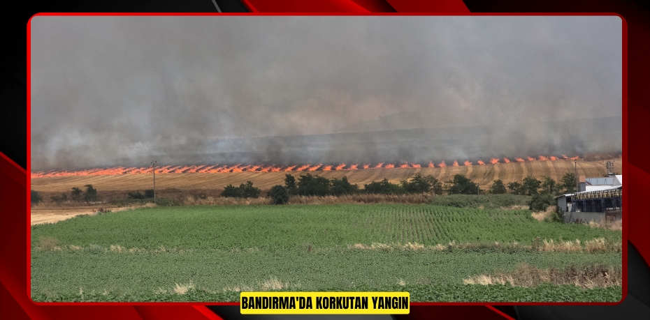Bandırma'da korkutan yangın