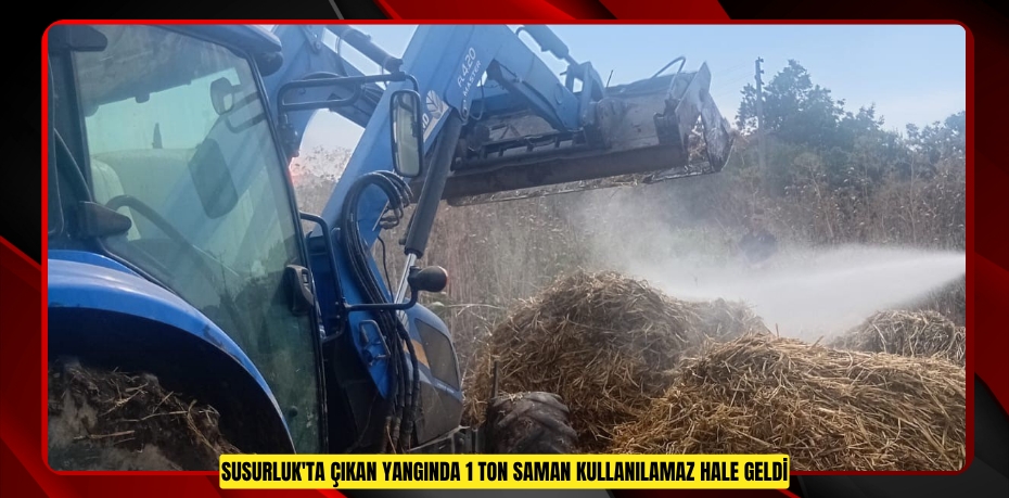 Susurluk'ta çıkan yangında 1 ton saman kullanılamaz hale geldi  