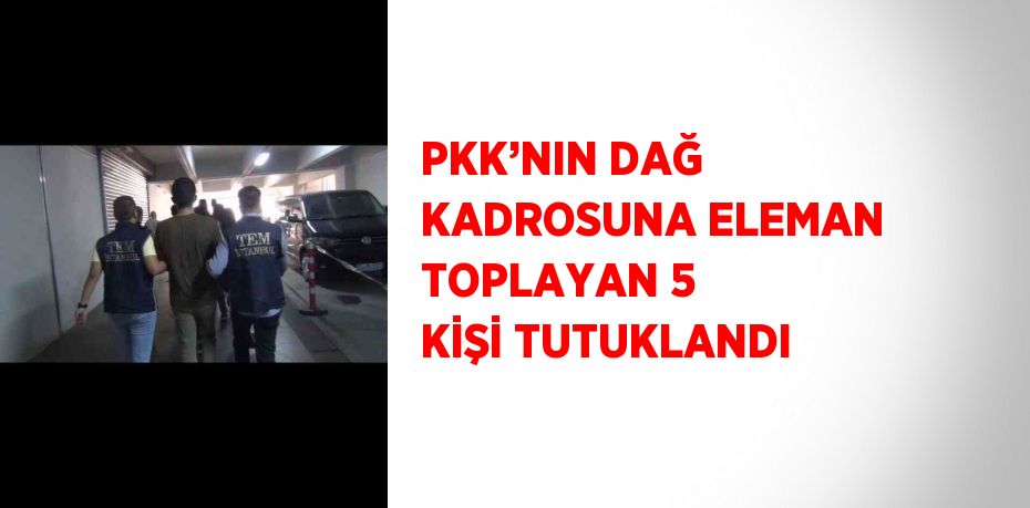 PKK’NIN DAĞ KADROSUNA ELEMAN TOPLAYAN 5 KİŞİ TUTUKLANDI