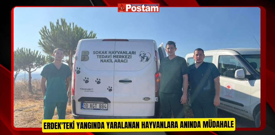 Erdek'teki yangında yaralanan hayvanlara anında müdahale