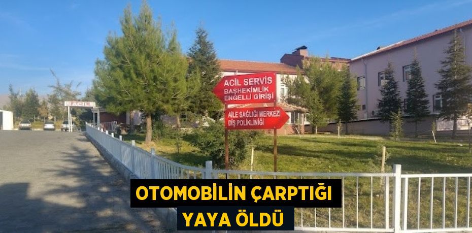 OTOMOBİLİN ÇARPTIĞI YAYA ÖLDÜ