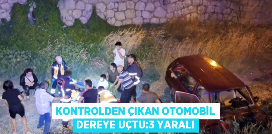 KONTROLDEN ÇIKAN OTOMOBİL DEREYE UÇTU:3 YARALI