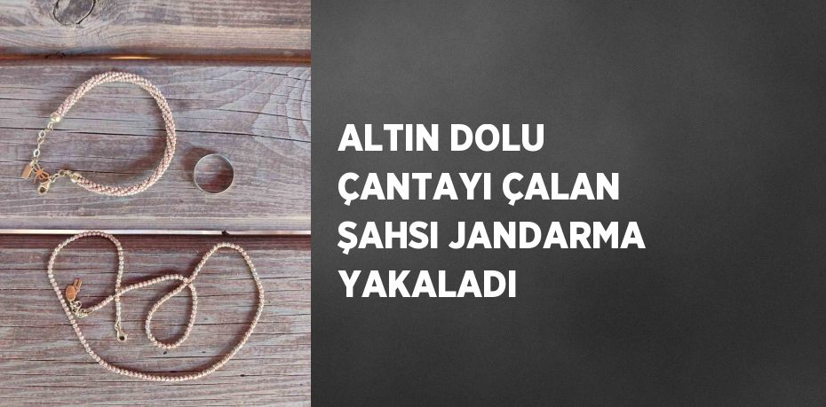 ALTIN DOLU ÇANTAYI ÇALAN ŞAHSI JANDARMA YAKALADI