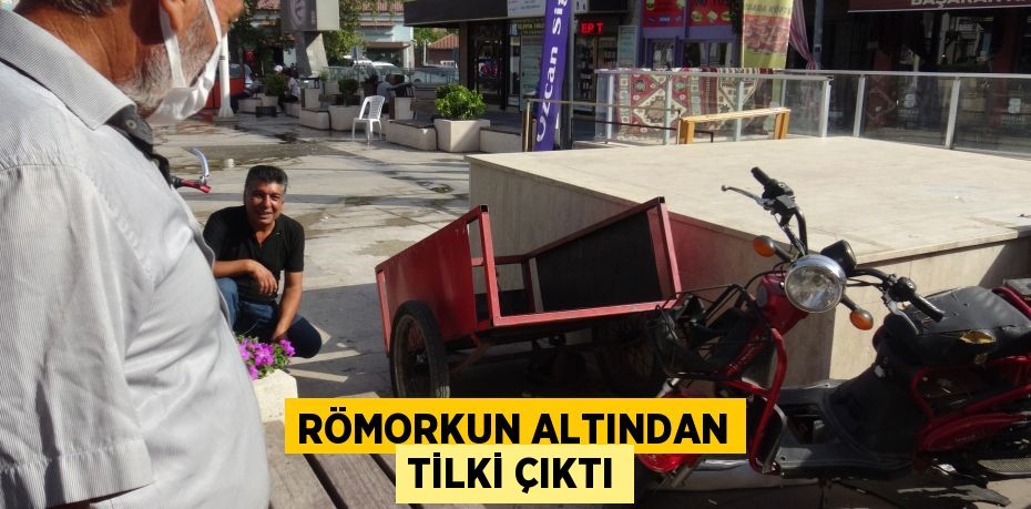 Römorkun altından tilki çıktı