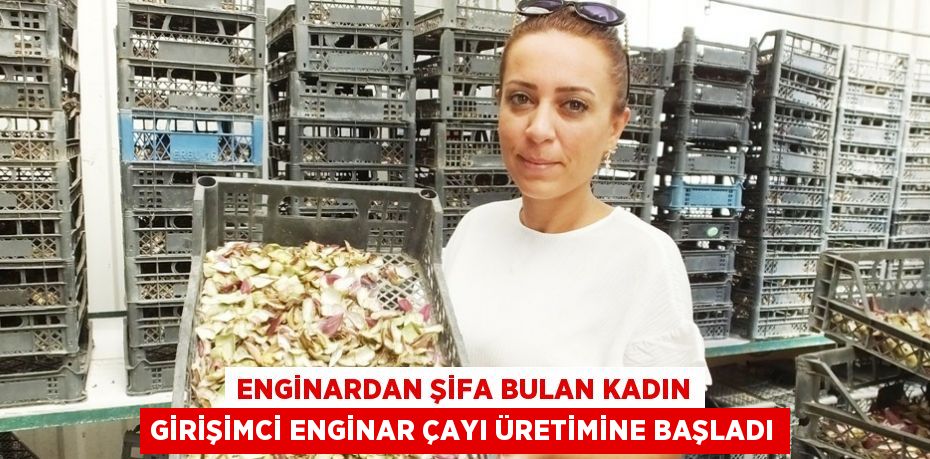 ENGİNARDAN ŞİFA BULAN KADIN GİRİŞİMCİ ENGİNAR ÇAYI ÜRETİMİNE BAŞLADI