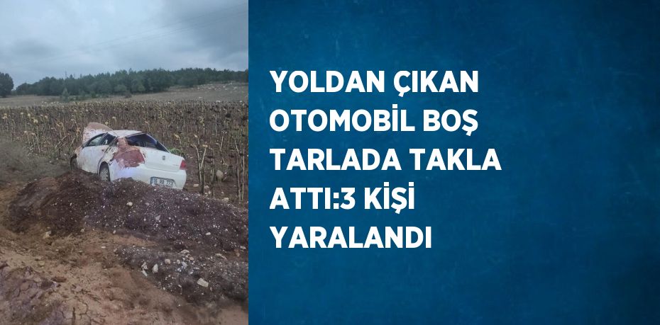 YOLDAN ÇIKAN OTOMOBİL BOŞ TARLADA TAKLA ATTI:3 KİŞİ YARALANDI