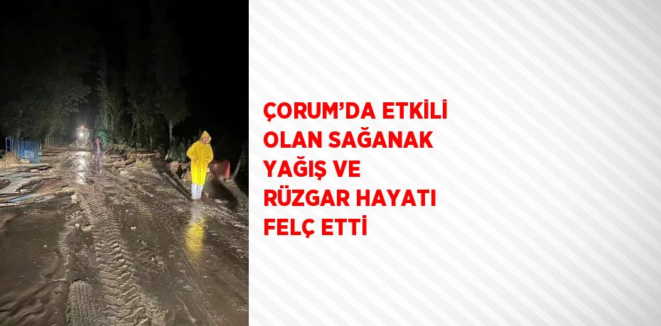 ÇORUM’DA ETKİLİ OLAN SAĞANAK YAĞIŞ VE RÜZGAR HAYATI FELÇ ETTİ