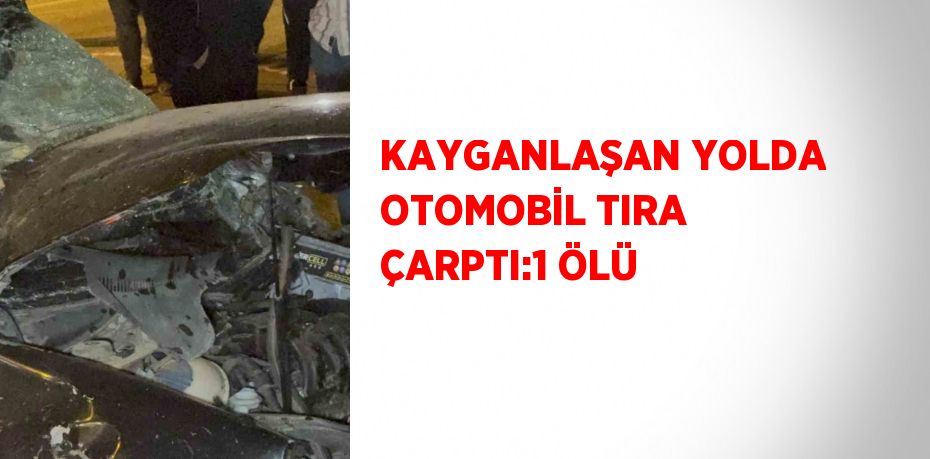 KAYGANLAŞAN YOLDA OTOMOBİL TIRA ÇARPTI:1 ÖLÜ