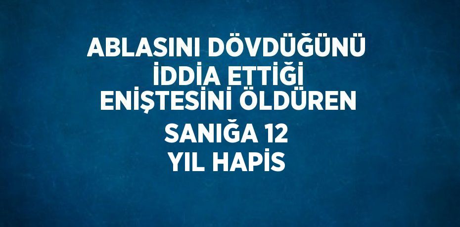 ABLASINI DÖVDÜĞÜNÜ İDDİA ETTİĞİ ENİŞTESİNİ ÖLDÜREN SANIĞA 12 YIL HAPİS