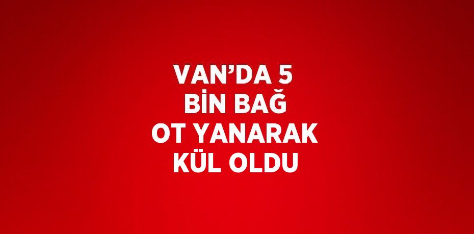 VAN’DA 5 BİN BAĞ OT YANARAK KÜL OLDU