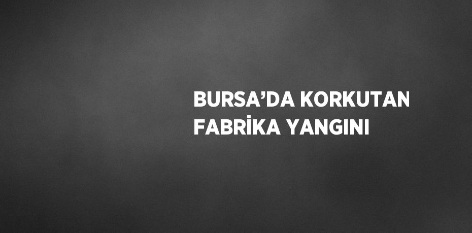 BURSA’DA KORKUTAN FABRİKA YANGINI