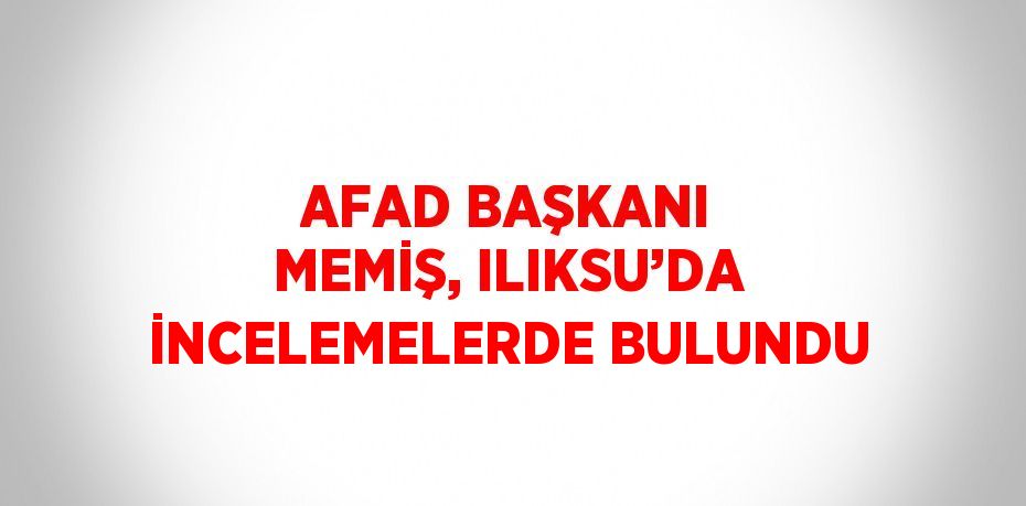 AFAD BAŞKANI MEMİŞ, ILIKSU’DA İNCELEMELERDE BULUNDU