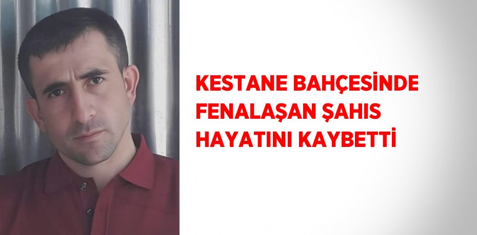 KESTANE BAHÇESİNDE FENALAŞAN ŞAHIS HAYATINI KAYBETTİ