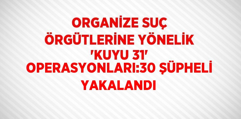 ORGANİZE SUÇ ÖRGÜTLERİNE YÖNELİK 'KUYU 31' OPERASYONLARI:30 ŞÜPHELİ YAKALANDI