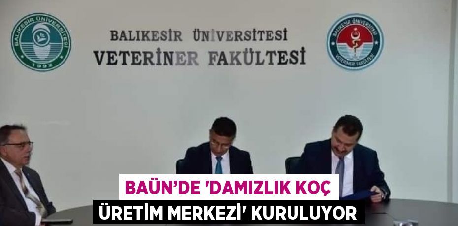 BAÜN’DE 'DAMIZLIK KOÇ ÜRETİM MERKEZİ' KURULUYOR