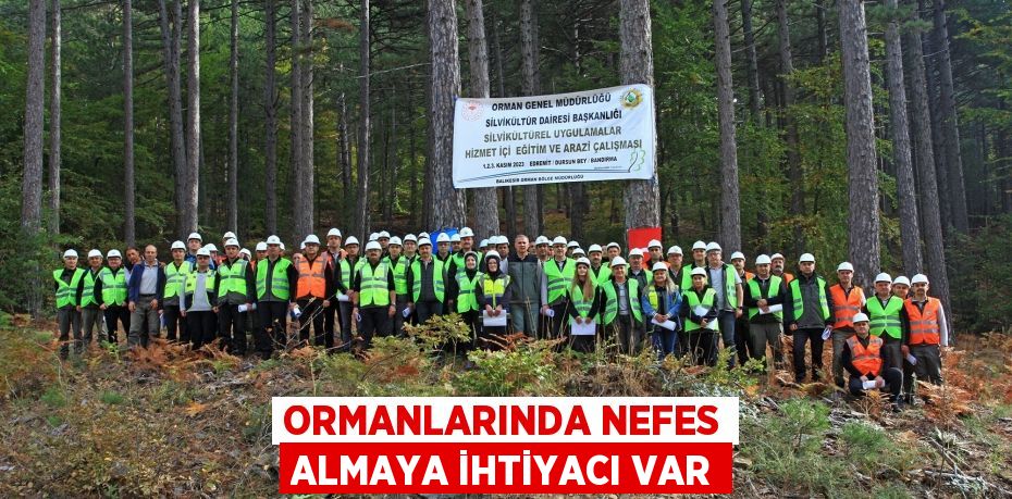 Ormanlarında Nefes Almaya İhtiyacı Var