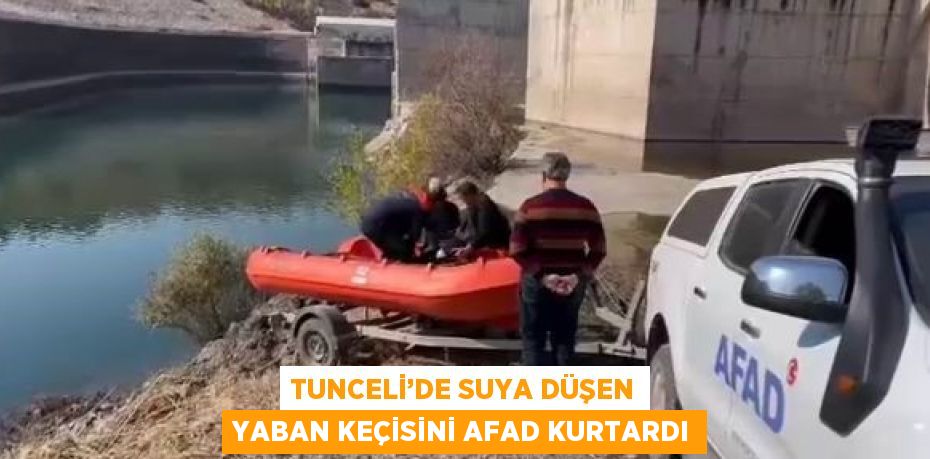 TUNCELİ’DE SUYA DÜŞEN YABAN KEÇİSİNİ AFAD KURTARDI