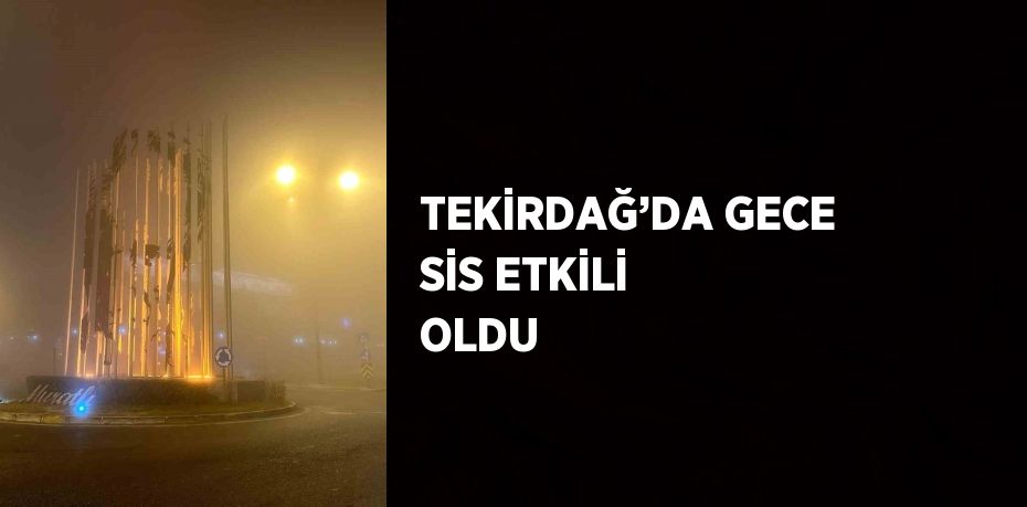 TEKİRDAĞ’DA GECE SİS ETKİLİ OLDU