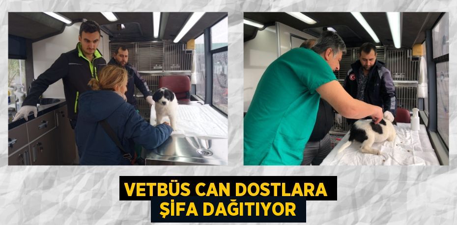 VETBÜS CAN DOSTLARA  ŞİFA DAĞITIYOR