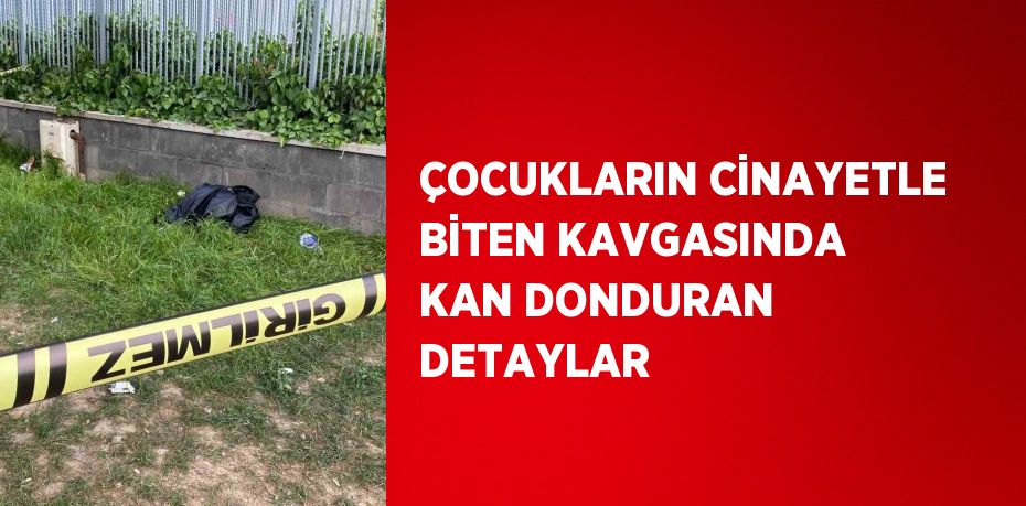 ÇOCUKLARIN CİNAYETLE BİTEN KAVGASINDA KAN DONDURAN DETAYLAR