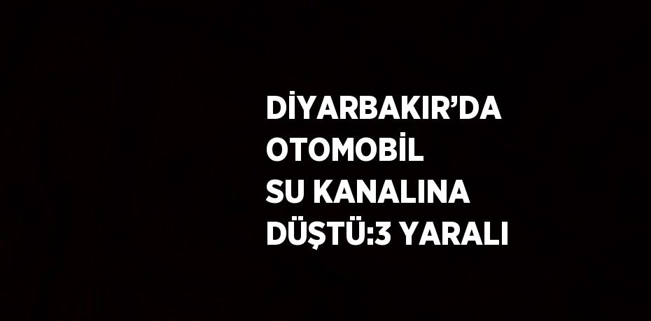 DİYARBAKIR’DA OTOMOBİL SU KANALINA DÜŞTÜ:3 YARALI