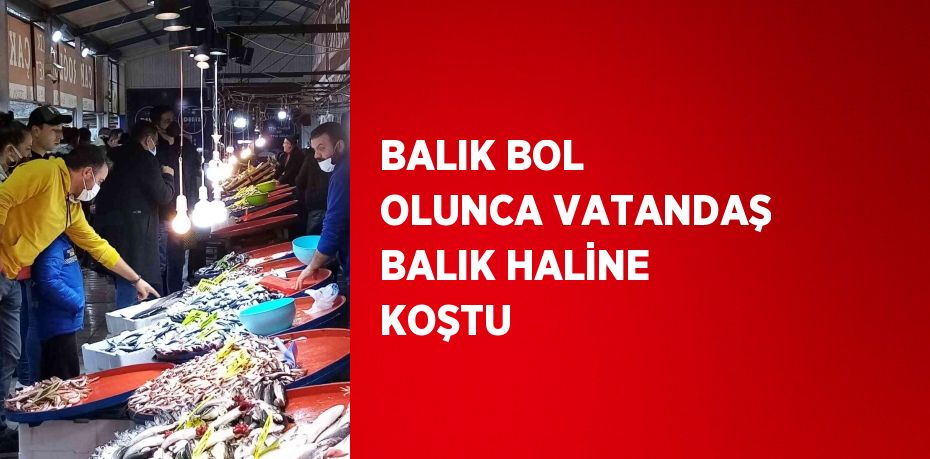 BALIK BOL OLUNCA VATANDAŞ BALIK HALİNE KOŞTU