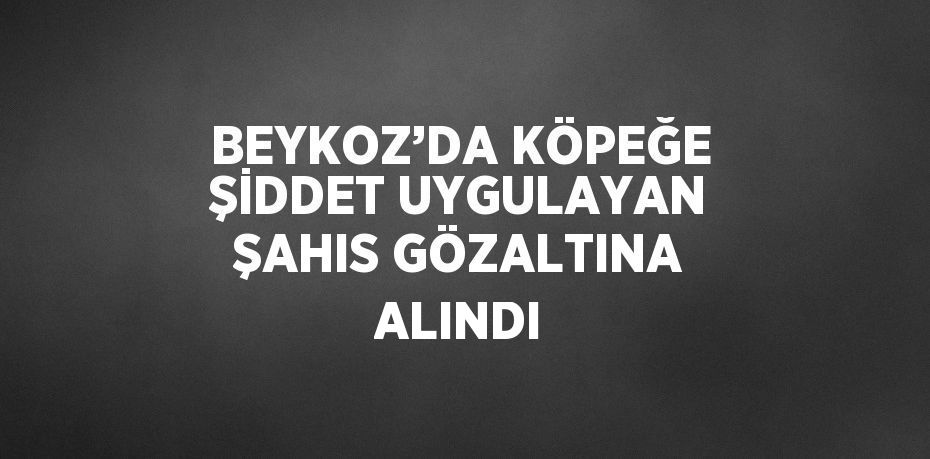 BEYKOZ’DA KÖPEĞE ŞİDDET UYGULAYAN ŞAHIS GÖZALTINA ALINDI