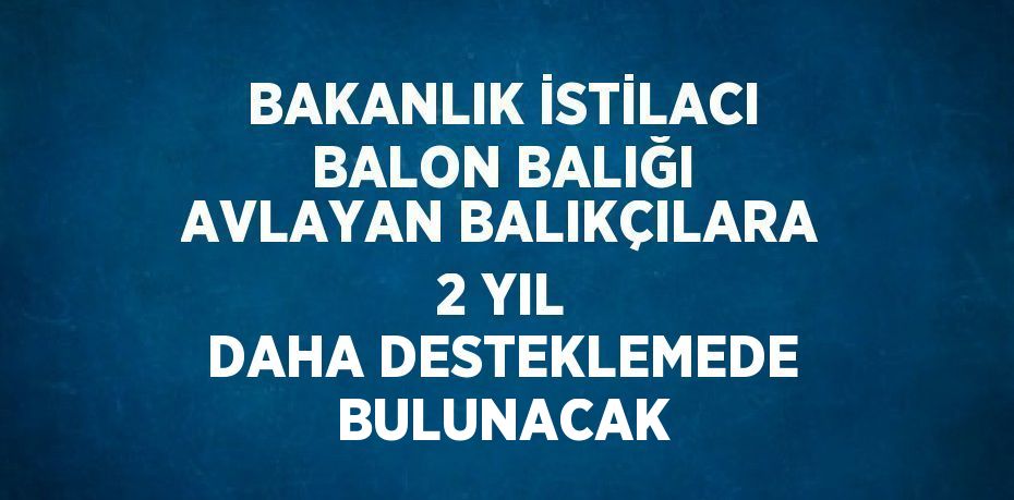 BAKANLIK İSTİLACI BALON BALIĞI AVLAYAN BALIKÇILARA 2 YIL DAHA DESTEKLEMEDE BULUNACAK