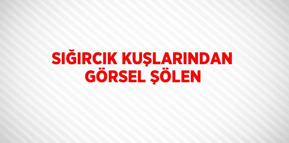 SIĞIRCIK KUŞLARINDAN GÖRSEL ŞÖLEN