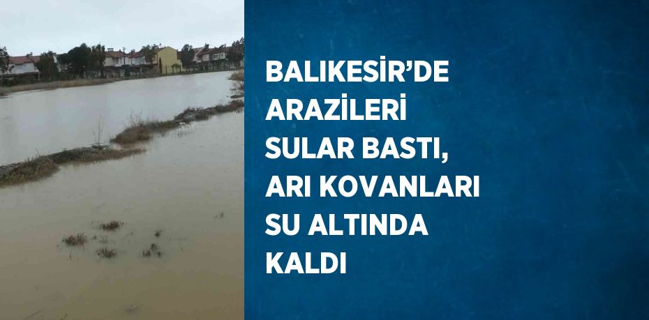 BALIKESİR’DE ARAZİLERİ SULAR BASTI, ARI KOVANLARI SU ALTINDA KALDI