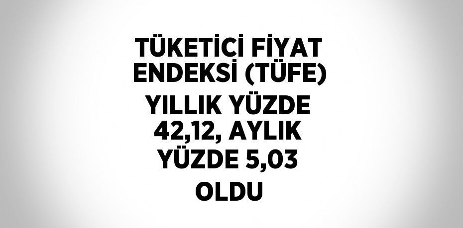 TÜKETİCİ FİYAT ENDEKSİ (TÜFE) YILLIK YÜZDE 42,12, AYLIK YÜZDE 5,03 OLDU