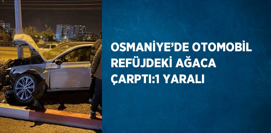 OSMANİYE’DE OTOMOBİL REFÜJDEKİ AĞACA ÇARPTI:1 YARALI