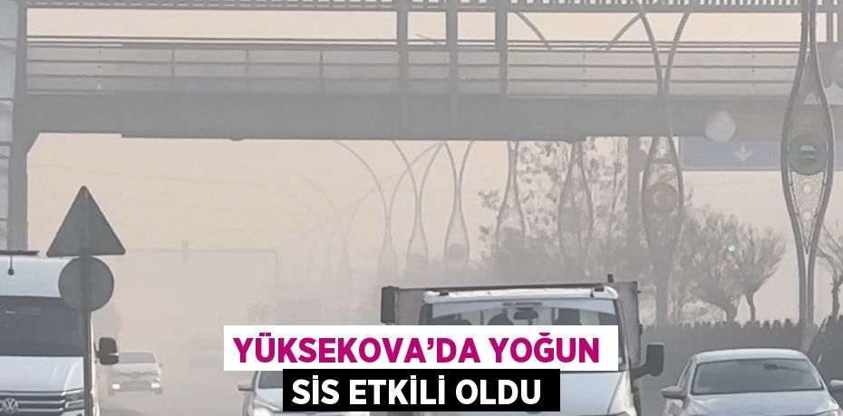 YÜKSEKOVA’DA YOĞUN SİS ETKİLİ OLDU