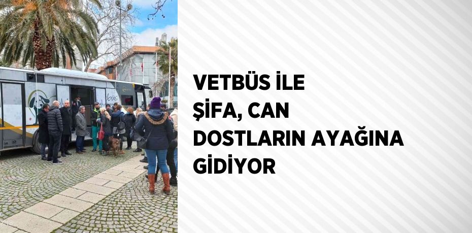 VETBÜS İLE ŞİFA, CAN DOSTLARIN AYAĞINA GİDİYOR