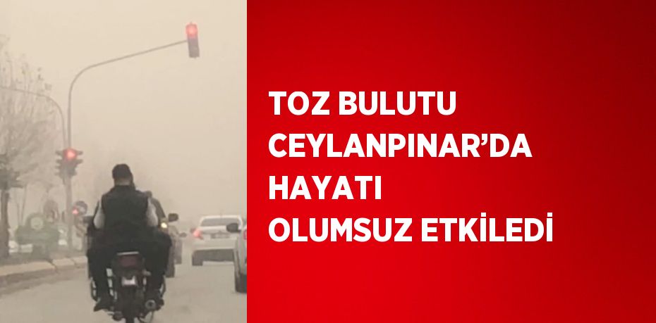 TOZ BULUTU CEYLANPINAR’DA HAYATI OLUMSUZ ETKİLEDİ