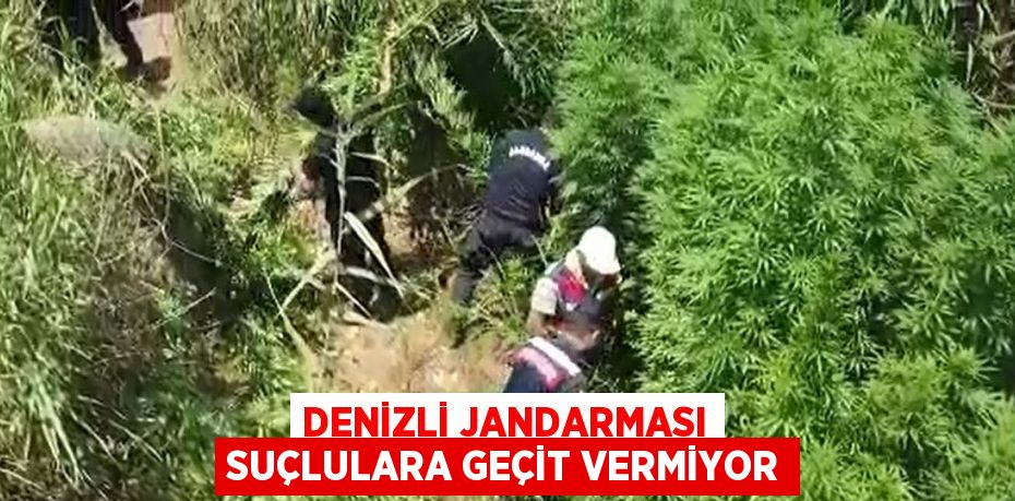 DENİZLİ JANDARMASI SUÇLULARA GEÇİT VERMİYOR