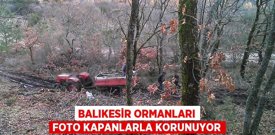 Balıkesir ormanları foto kapanlarla korunuyor