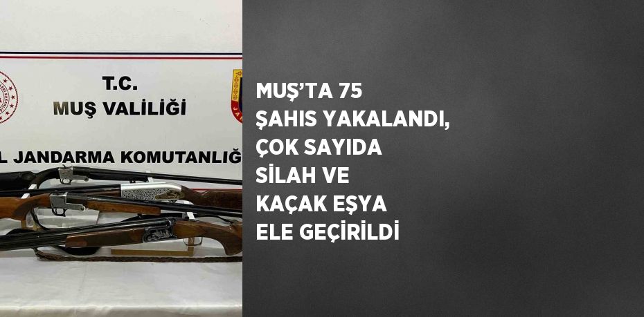 MUŞ’TA 75 ŞAHIS YAKALANDI, ÇOK SAYIDA SİLAH VE KAÇAK EŞYA ELE GEÇİRİLDİ