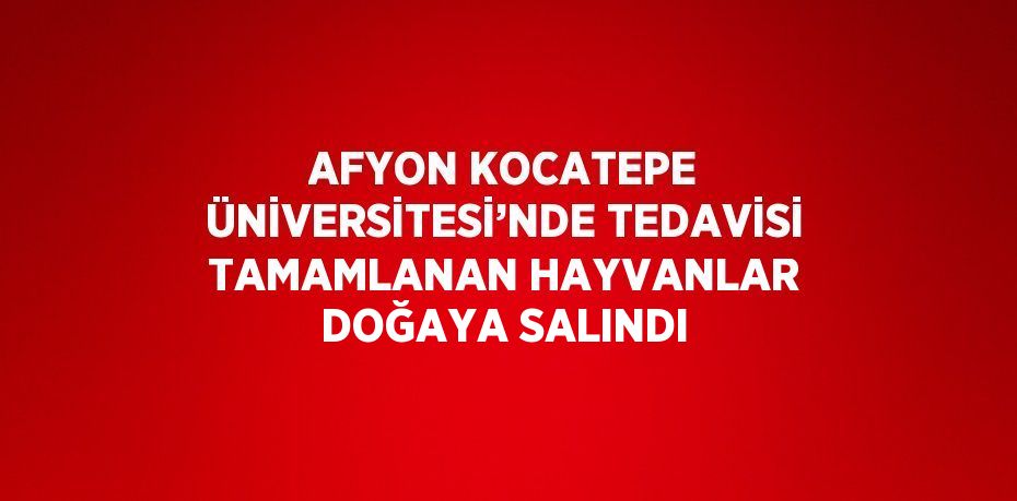 AFYON KOCATEPE ÜNİVERSİTESİ’NDE TEDAVİSİ TAMAMLANAN HAYVANLAR DOĞAYA SALINDI