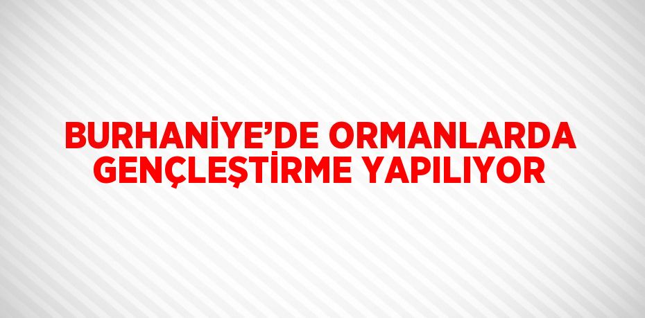BURHANİYE’DE ORMANLARDA GENÇLEŞTİRME YAPILIYOR